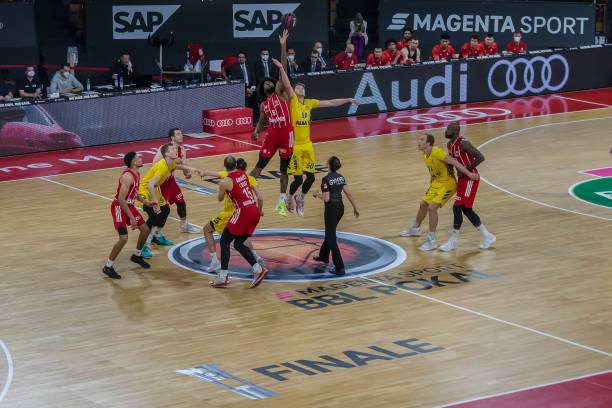 女演员的组 女演员的组